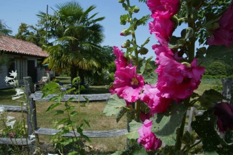 Bed & Breakfast La Maison L�ch�mia