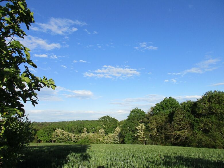 Bed & Breakfast La Maison L�ch�mia
