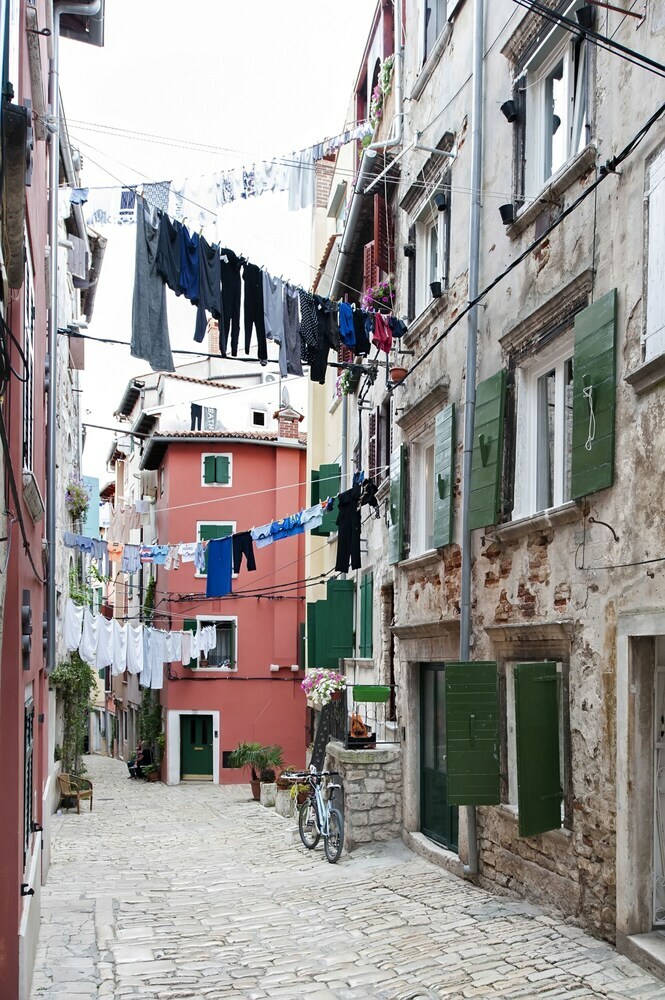 Apartment Ca 1620 - Rosa Selvatica