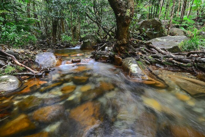 Cabana Daintree Cascades