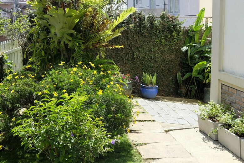 Hotel Vi-la Homestay Caf�