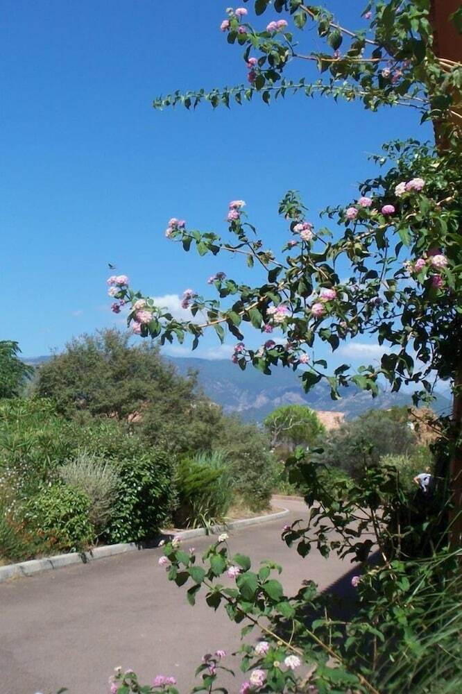 C�drat - Saint Cyprien Chalet 2