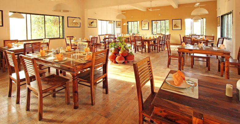 Hotel Gir Birding Lodge