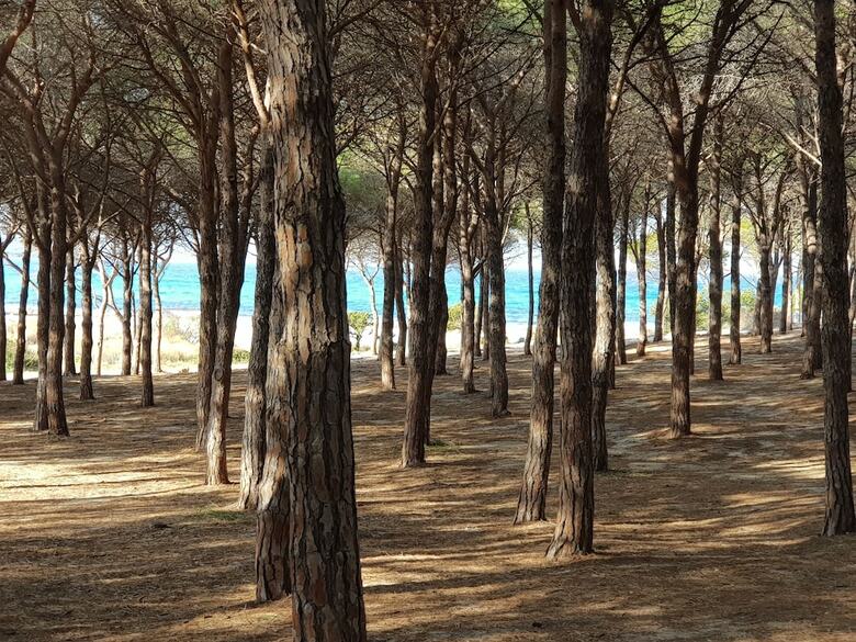Villa Apple Big Paradise Budoni