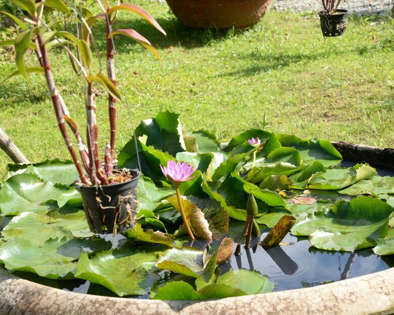 Hotel Bungalow Yen Trinh