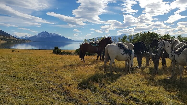 Estancia Bah�a Esperanza