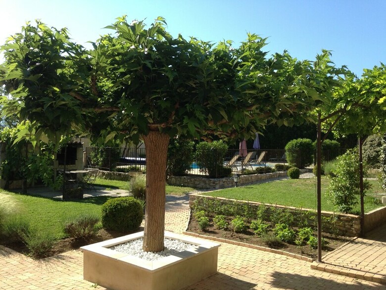 B&B C�t� Lavande