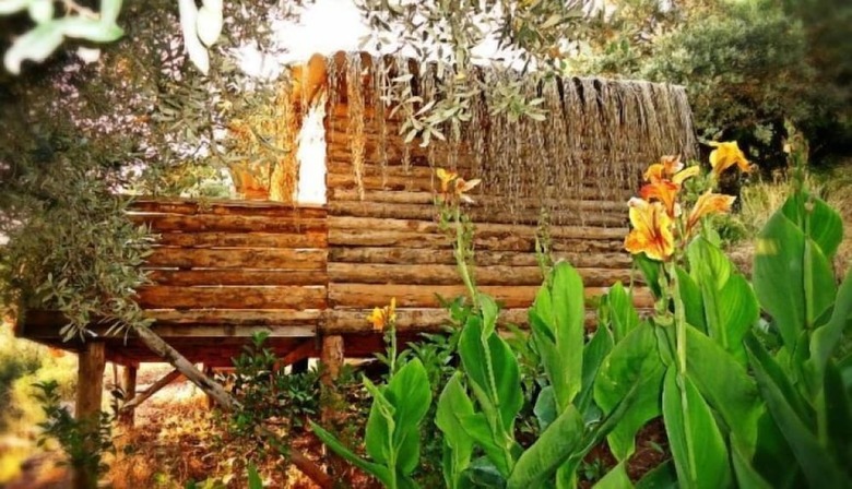 Hotel Shambala Lodge - Adults Only