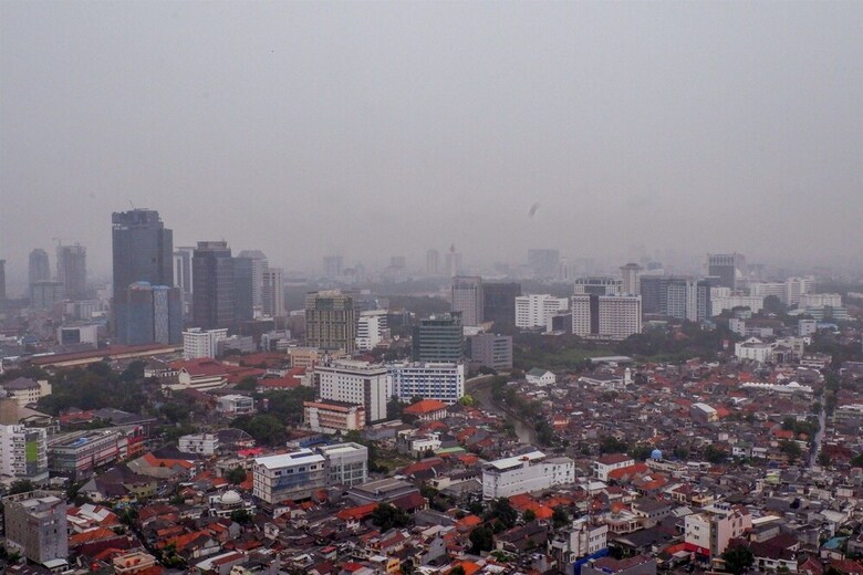Studio At Menteng Park Apartment With City View