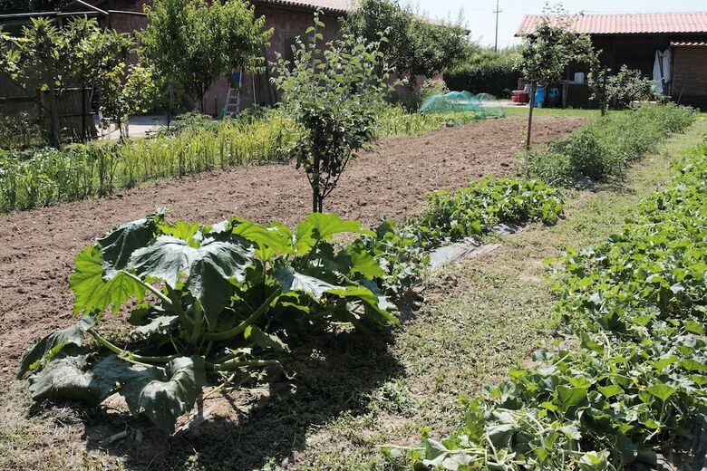 Agroturismo Agriturismo Le Stringaie