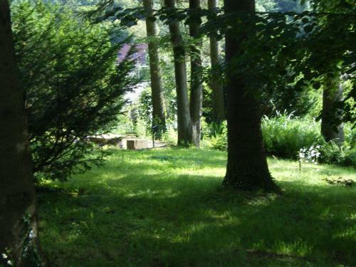 Hotel H�tel Des Vosges