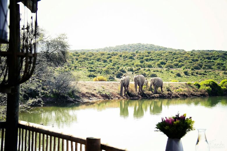 Posada Buffelsdrift Game Lodge