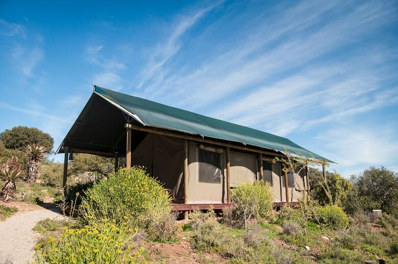 Posada Buffelsdrift Game Lodge
