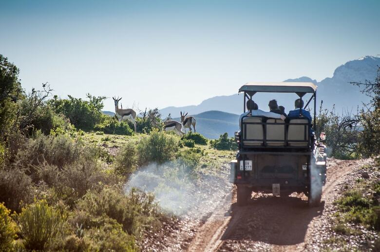 Posada Buffelsdrift Game Lodge