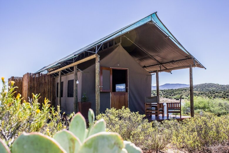 Posada Buffelsdrift Game Lodge