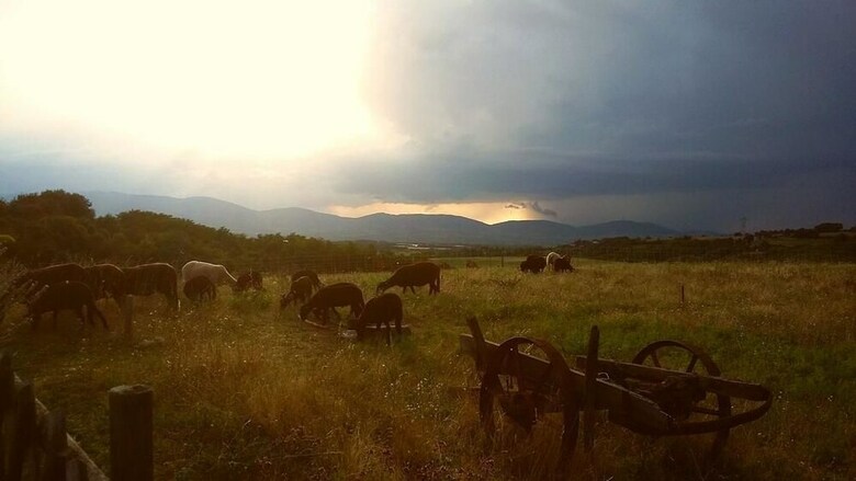 Une Pause Sur La Colline - G�te 4 Pers.
