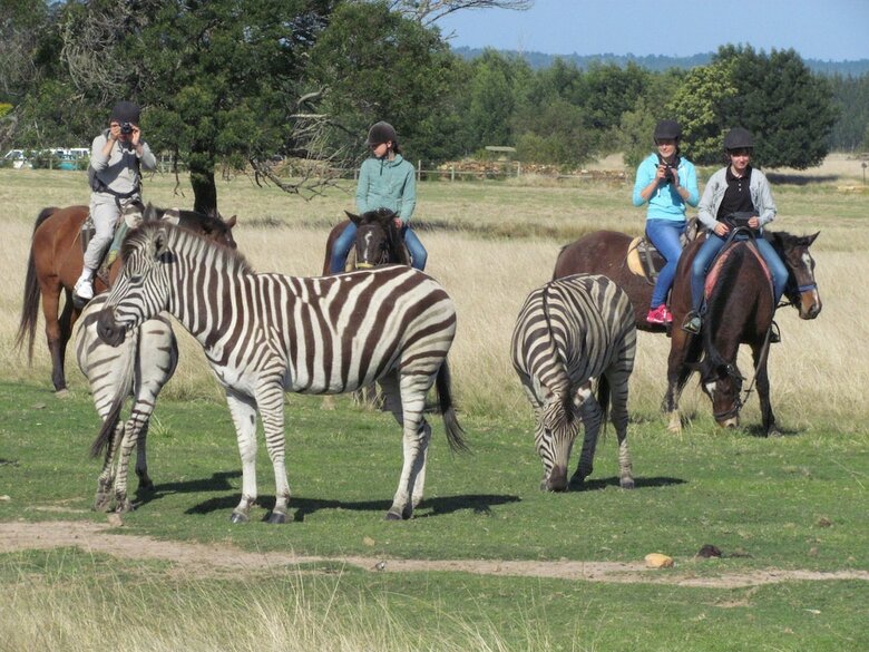 Hotel Plettenberg Bay Game Reserve