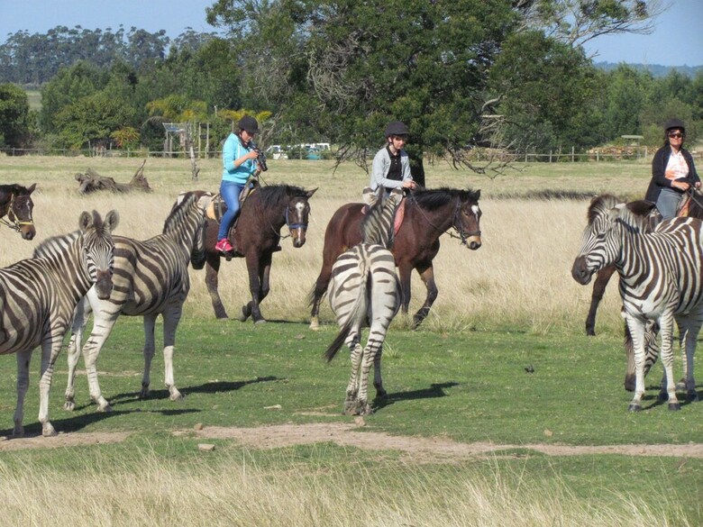 Hotel Plettenberg Bay Game Reserve