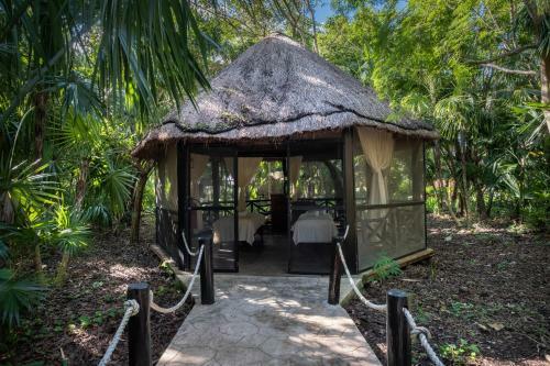 Hotel Iberostar Cozumel
