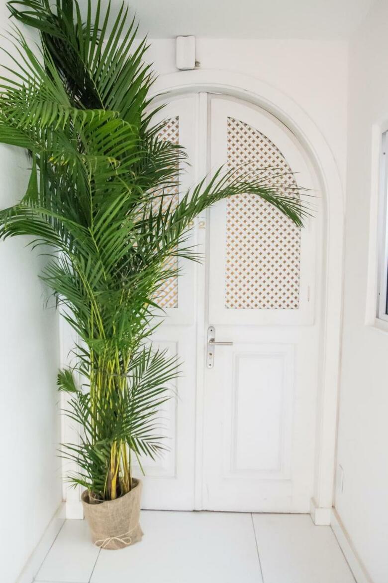 Apartamento Ipanema Penthouse