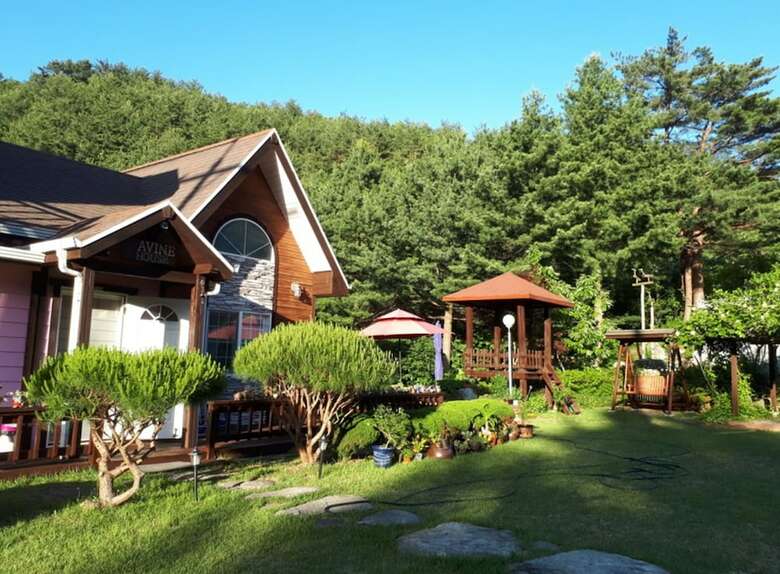 Pension Ravine House