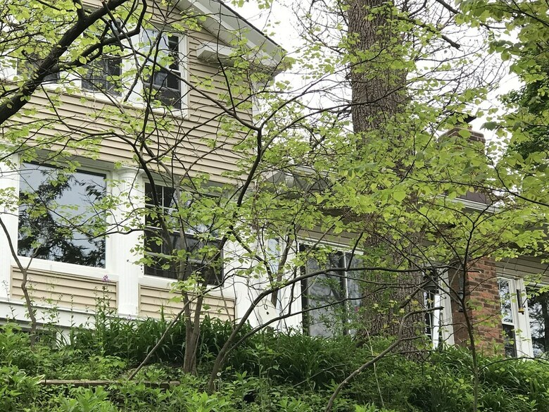 Bed & Breakfast Fitzwater House