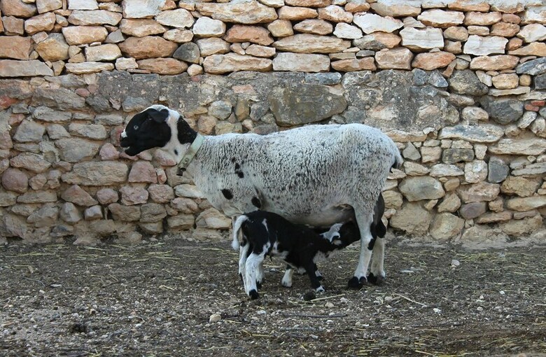 Agroturismo Casa Rural Els Matalapers
