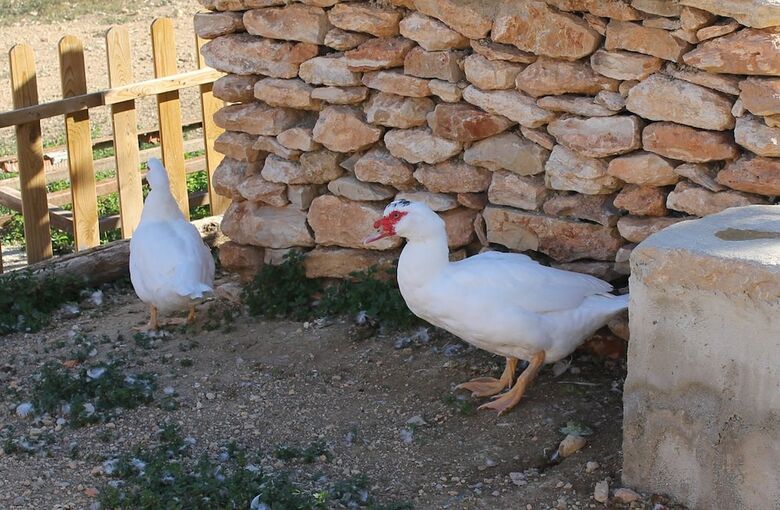 Agroturismo Casa Rural Els Matalapers