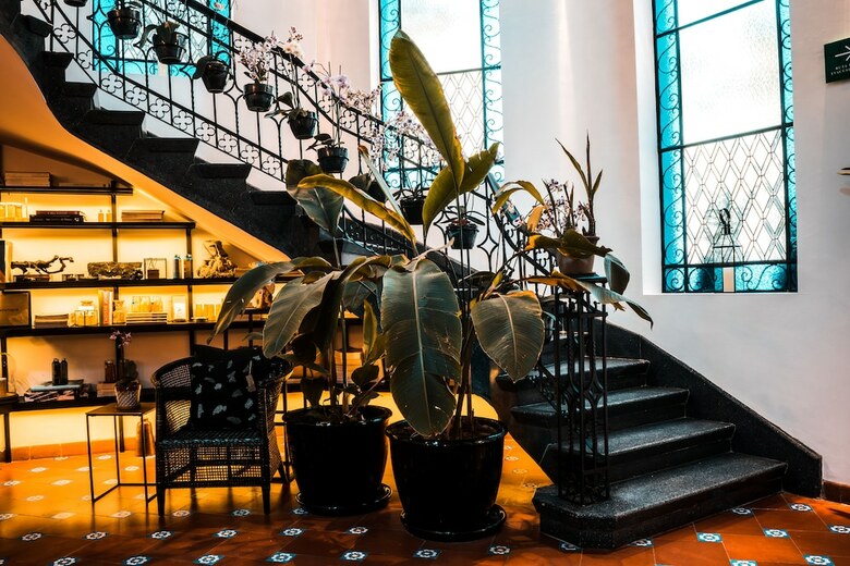 Hotel Orchid House Polanco