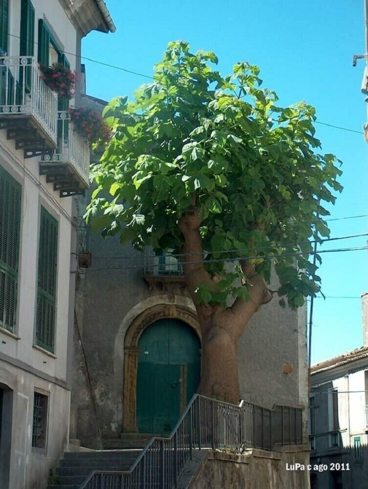 Hotel La Casetta Di Renato