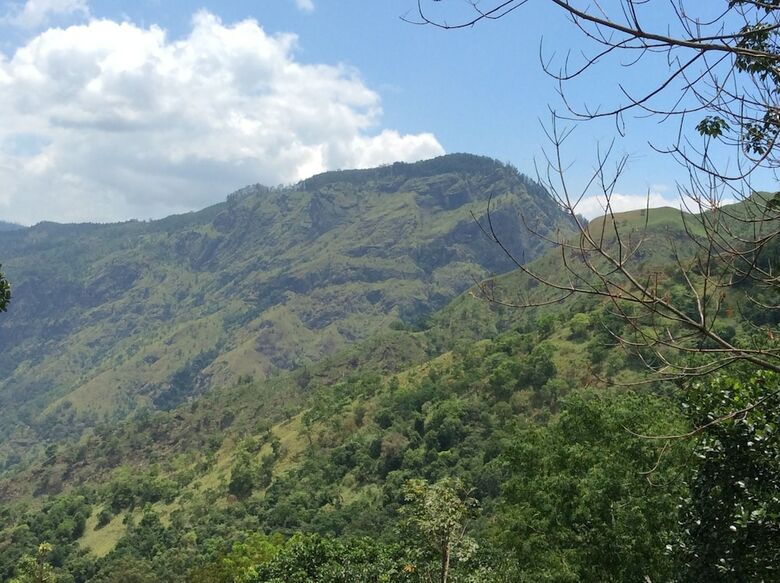Ella Camping Resort