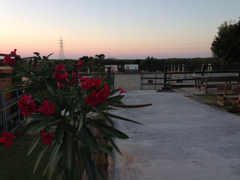 Arion Stables & Apartments