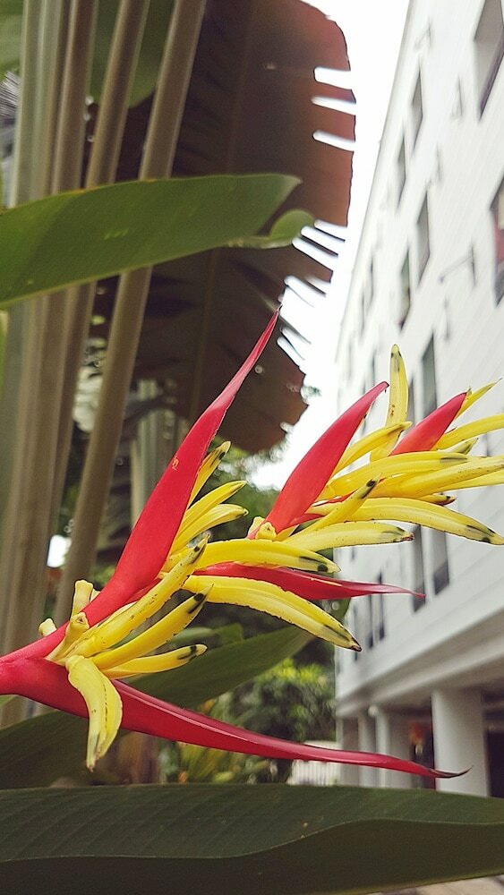 Hotel The 20 @sukhumvit 77