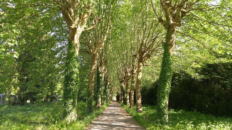 Bed & Breakfast Domaine de Bramefaon