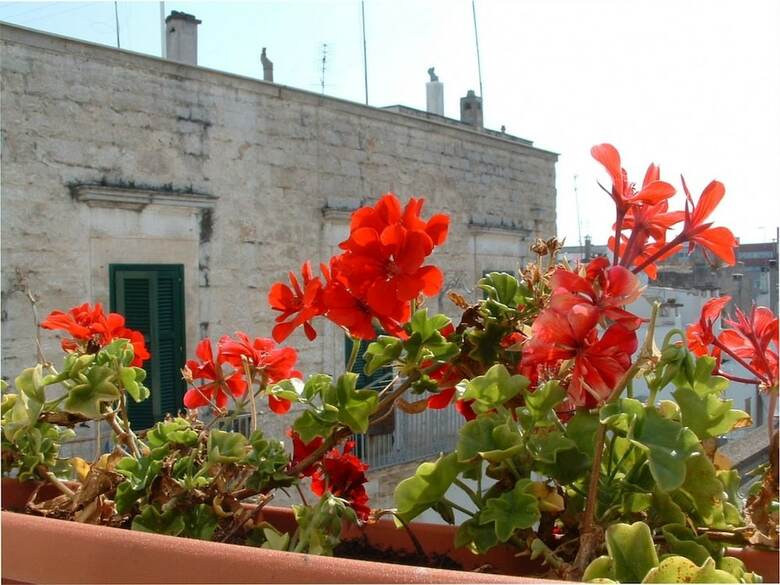 B&B Frammenti D'itria