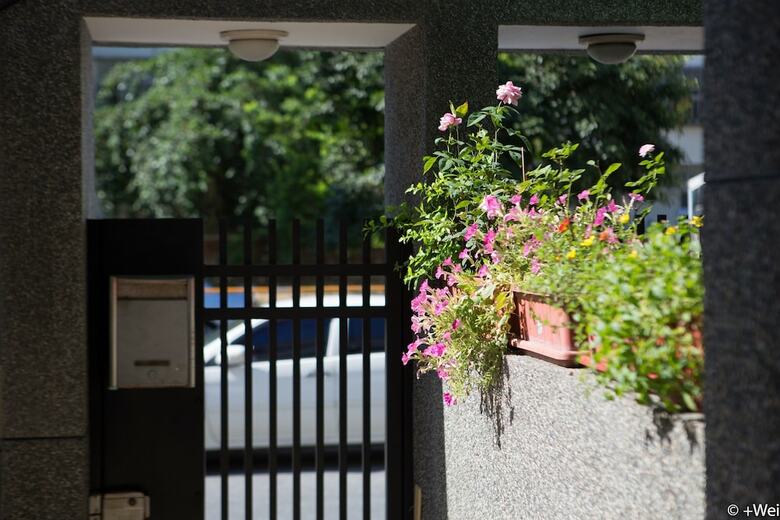 Hostal Shining Forest Hostel