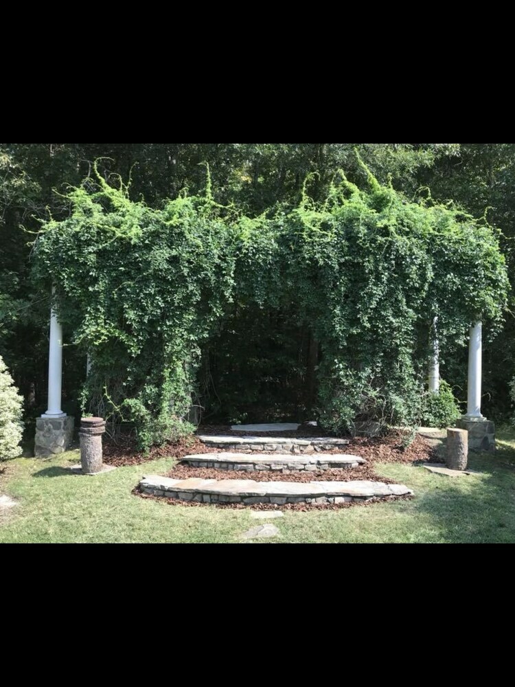 Bed & Breakfast The Groome Inn
