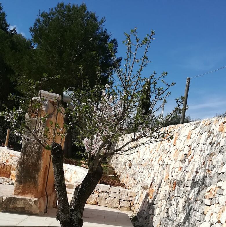 Hotel Dimora Il Mandorlo