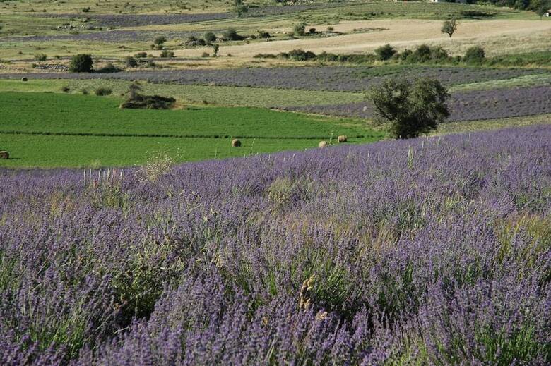 Bed & Breakfast La Claveli�re