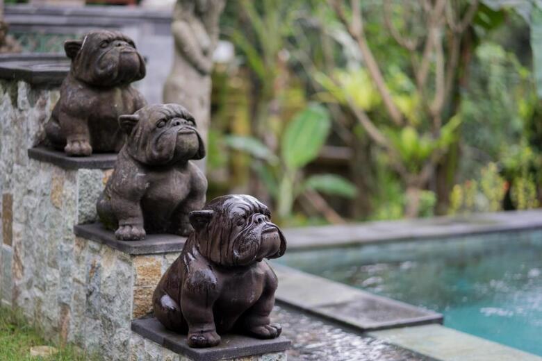 Bed & Breakfast Ketut's Place Villas Ubud