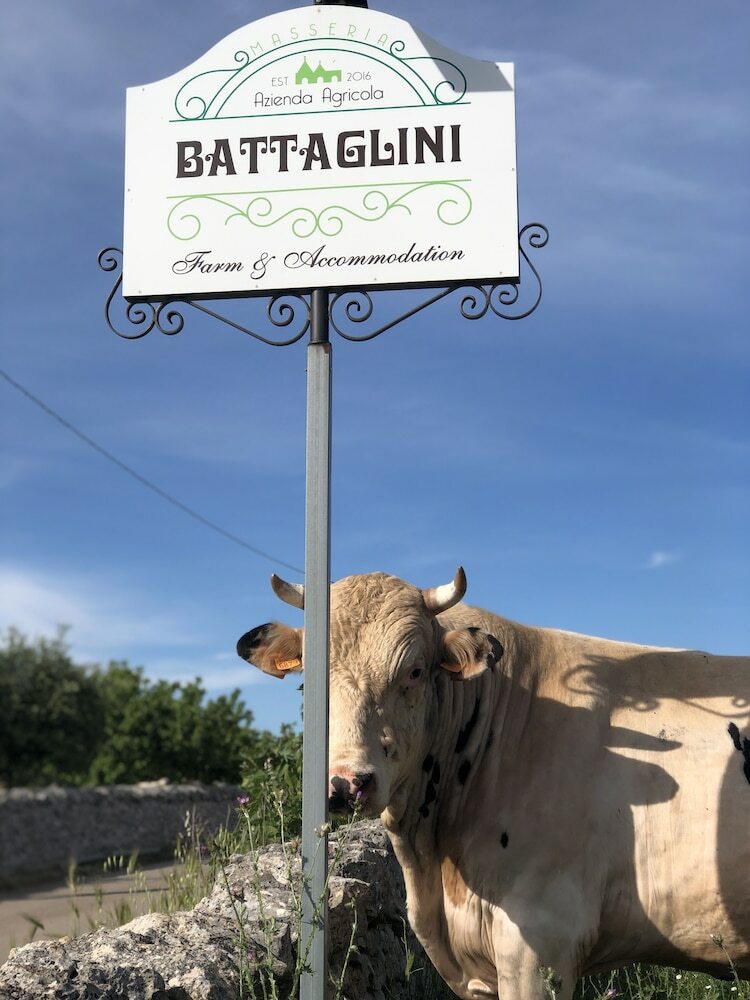 Bed & Breakfast Masseria Battaglini