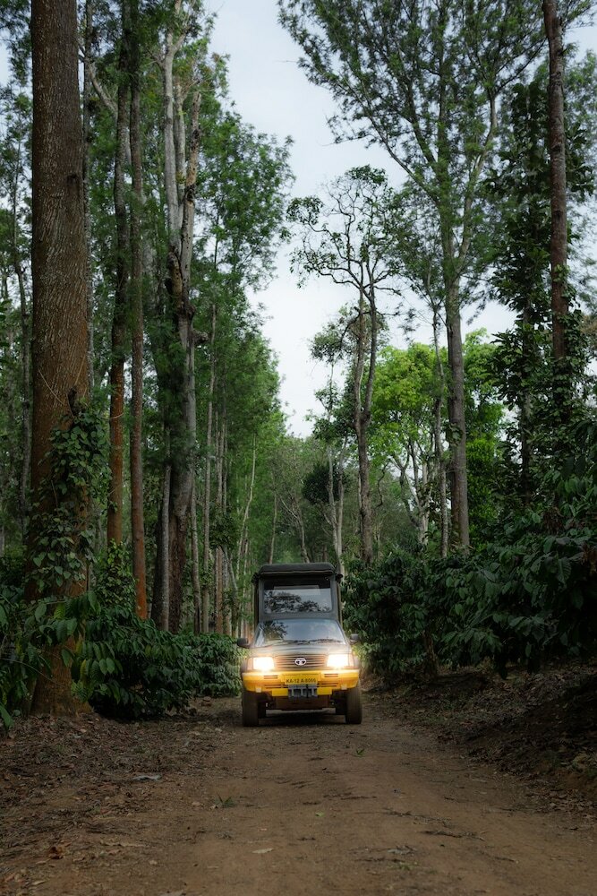 Hotel Ama Plantation Trails , Coorg