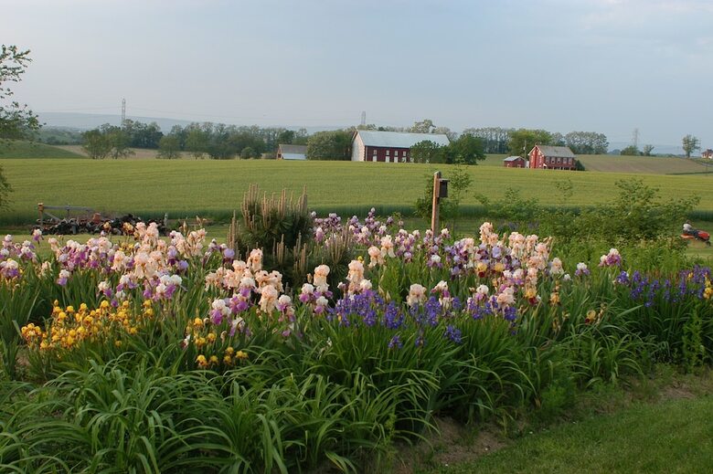 Annville Inn Bed And Breakfast