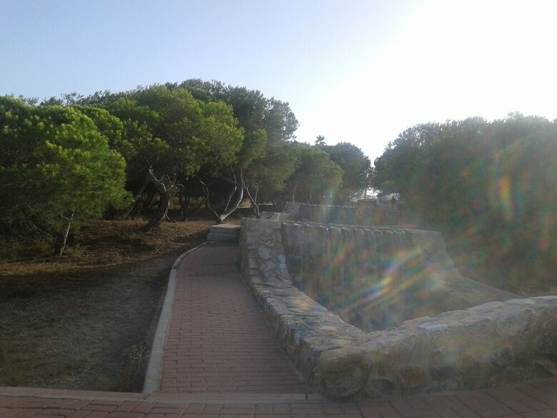 Apartamentos Appartement � La Mata