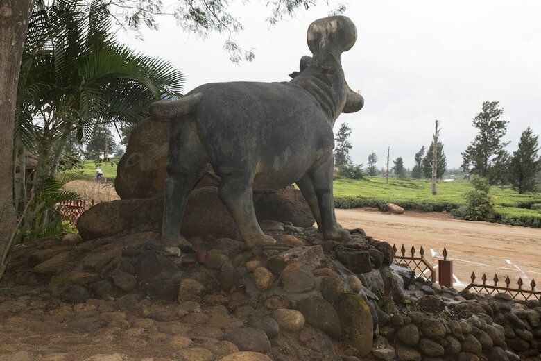Hotel Nalipiri Eco Resorts