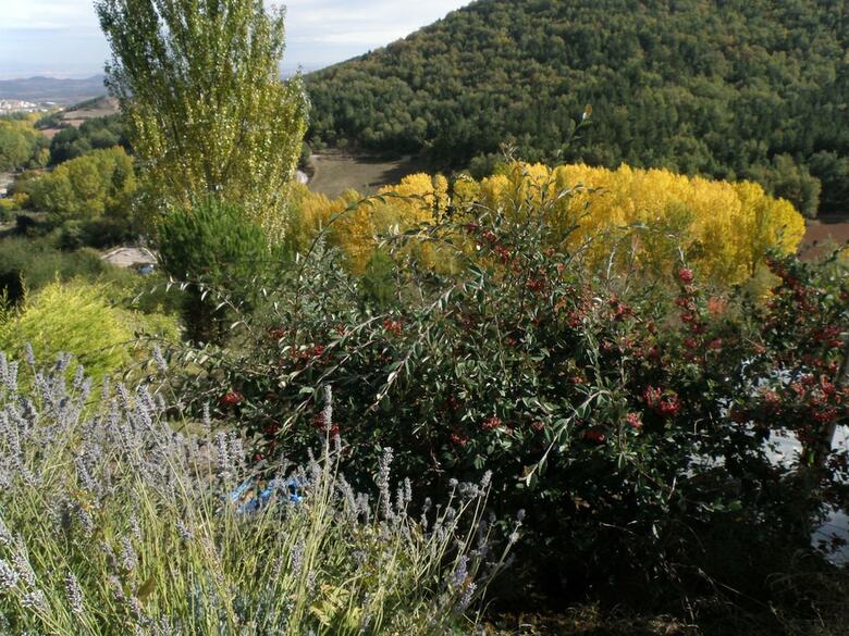 Agroturismo Casa Rural Mirador de Moncalvillo