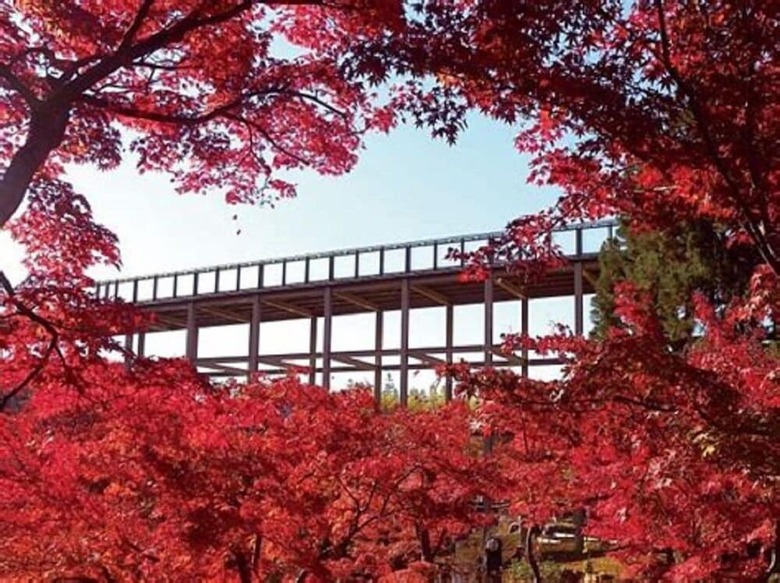 Hotel Abbey Road Inn Seika