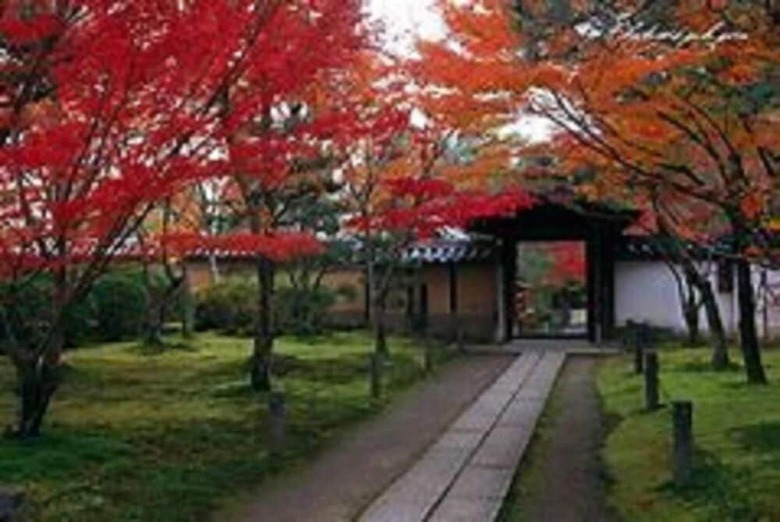 Hotel Abbey Road Inn Seika