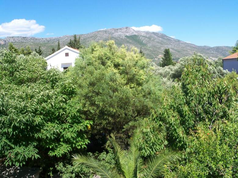 Apartmani Lastavica