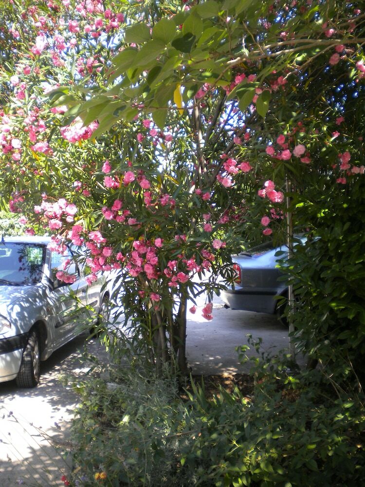 Apartmani Lastavica